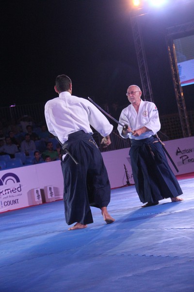 Martial Arts Festival
